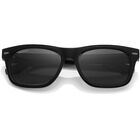 BORREGO LARGE, Black-Mineral Polarized Onyx Cat 3 to 3, hi-res image number null
